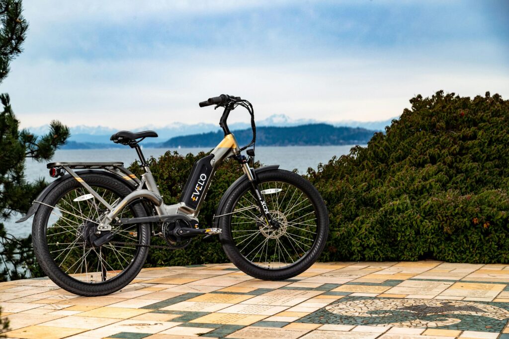 electric bikes