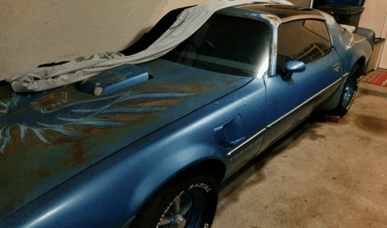 1979 Firebird barn finds 