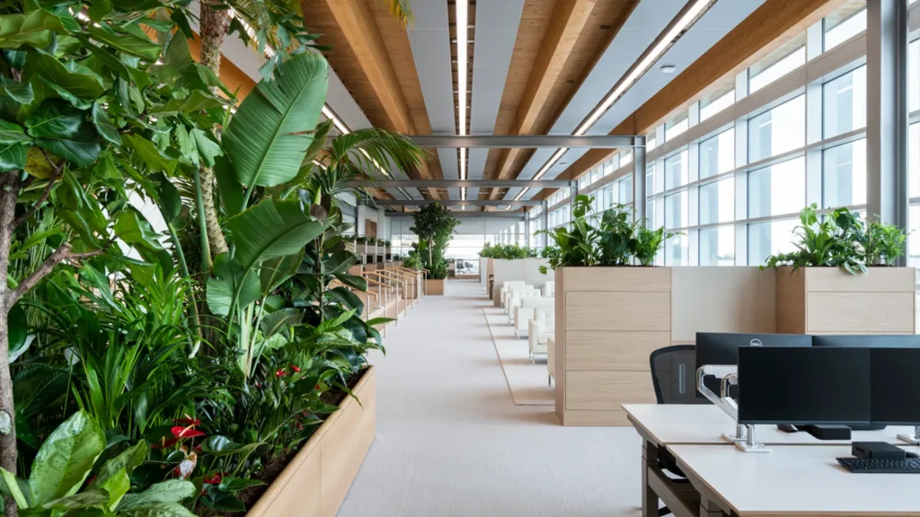 Workspace in Spain: An Overview